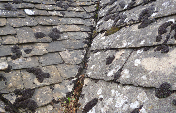 Flat Roofs & GRP Roofs Oxford 21
